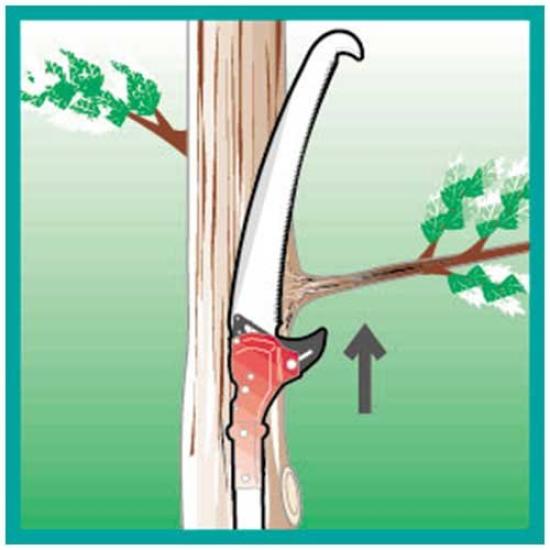 Nishigaki Kogyo Replacement Saw Blade for Branch Pruning N-760-1 Single-Pass (1 Blade)