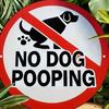 No Dog Poop Metal Wall Sign, Funny Round Tin Poster 7.8 Inch for Home Bar Garage