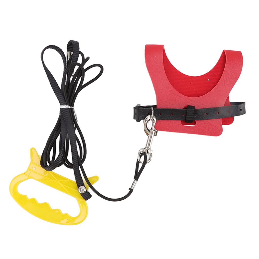 Bird Harness Leash Elastic Easy To Wear Portable Bird Traction Rope with Hook for Birds and s