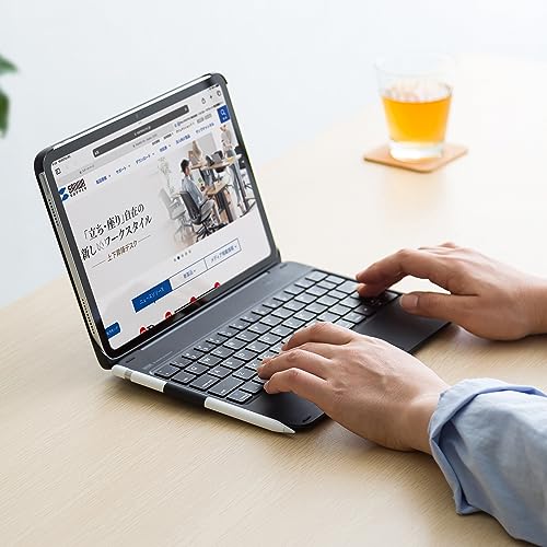 SANWA SUPPLY 10.9-inch iPad Keyboard with Case and Built-in Touchpad (SKB-BTIPAD3BK)