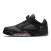 Air 5 Retro Low Wings Class of 2020-21