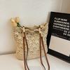 2025 Spring New Casual Commuter Bag Straw Bag Fashion Trend Large Capacity Shoulder Messenger Tote Bag
