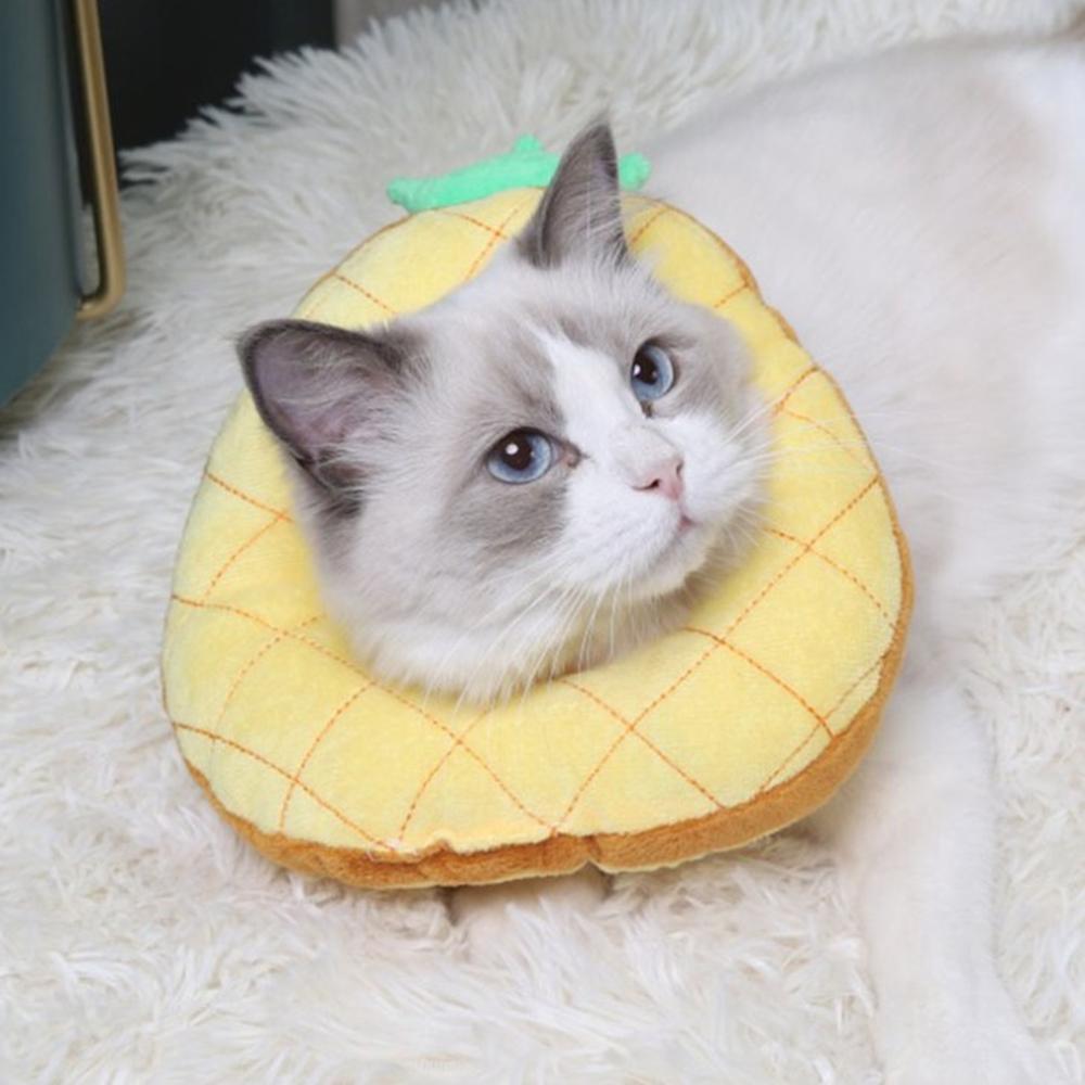 neck cone for cats
