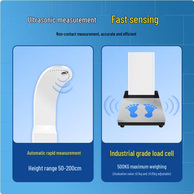 Shanghe Smart Commercial Body Analyzer