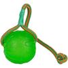 Balle À Mâcher VADIGRAN Starmark Swing N Fling - Jaune - Petit - Caoutchouc