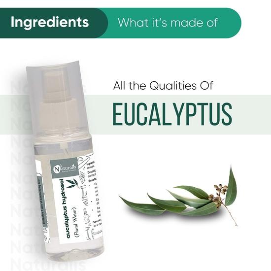 Naturalis Essence of Nature Eucalyptus | Hydrosol Spray for Face and Body