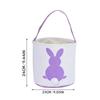Easter Basket Holiday  Bunny Printed Canvas Gift Carry  Candy Bag