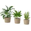 Seagrass Planters Set of 3 Plant Pots for Indoor Outdoor Patio Balcony Natural