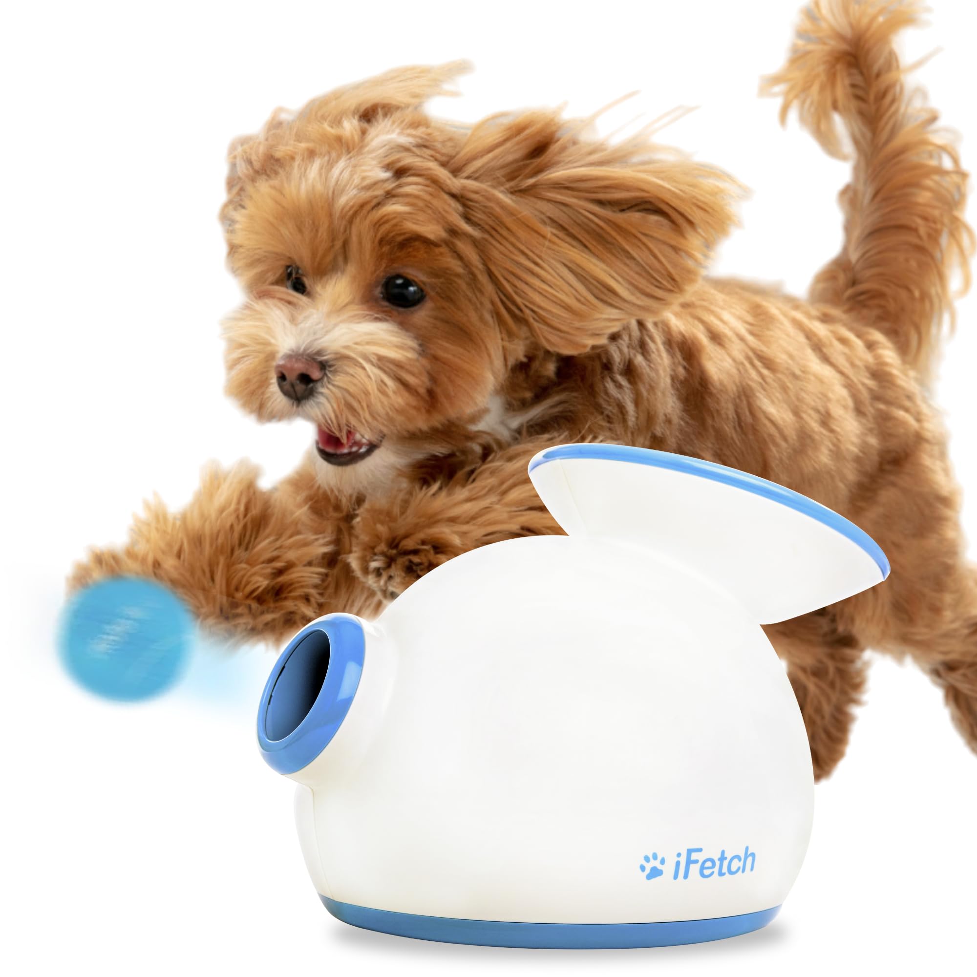 

iFetch Interactive Ball Launcher for Dogs Small Tennis Ball - [Product]