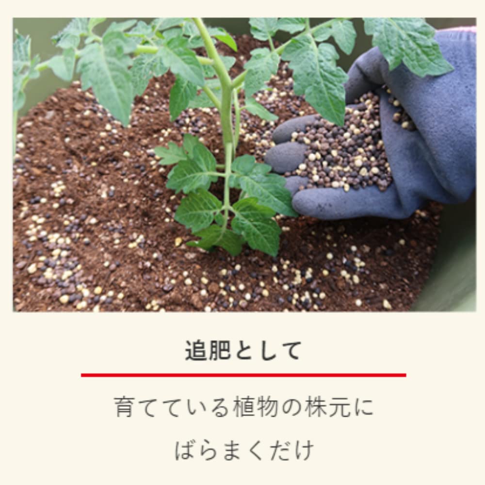 Sumitomo Chemical Gardening Fertilizer My Garden Vegeful 1.2kg Granular Vegetables Fruits Fruits