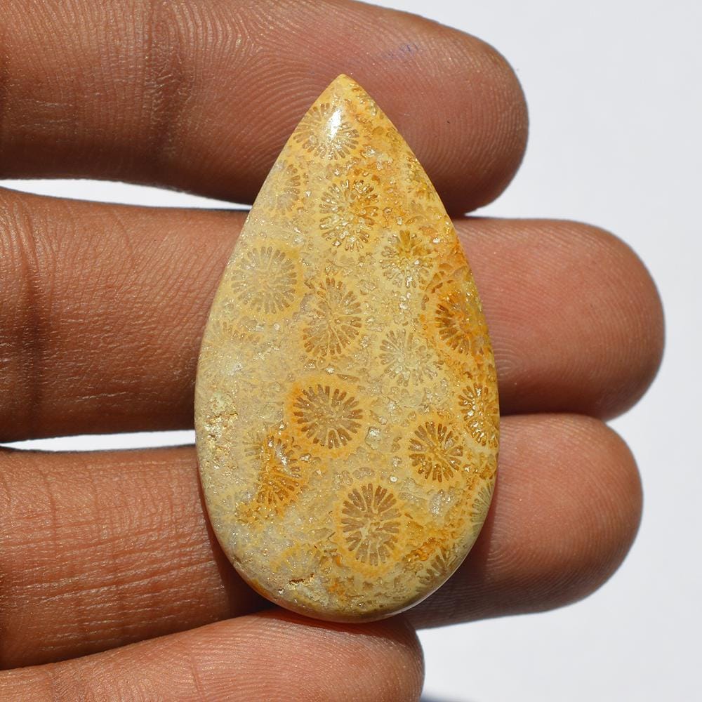 Natural Fossil Coral Gemstone Cabochon, Top Quality Indonesians Fossil Coral Cabochon Craft Supply 35 Carats Pear Shape, Jewelry Making