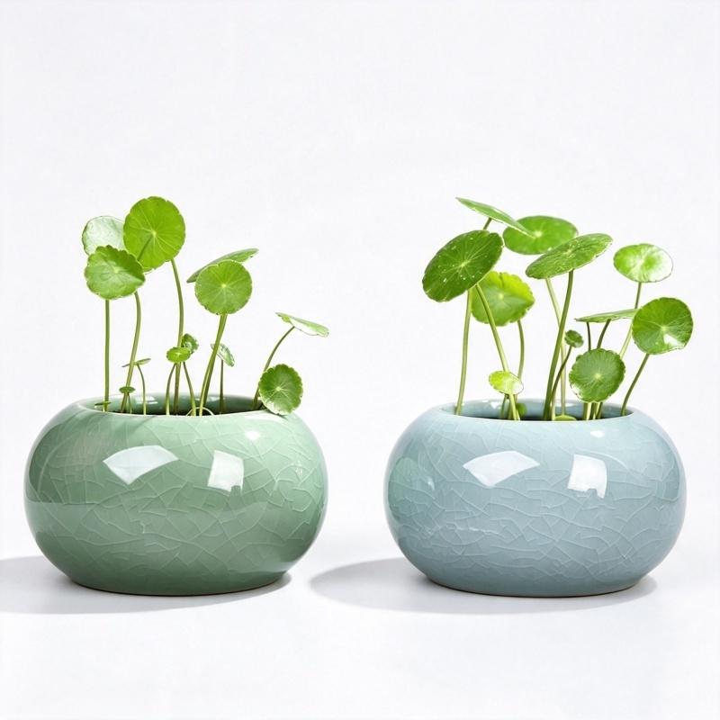 Creative Handmade Geyao Ice Crack Round Succulent Plant Pot Asparagus Fern Orchid Flowerpot Small Size Vase Home Garden Decor