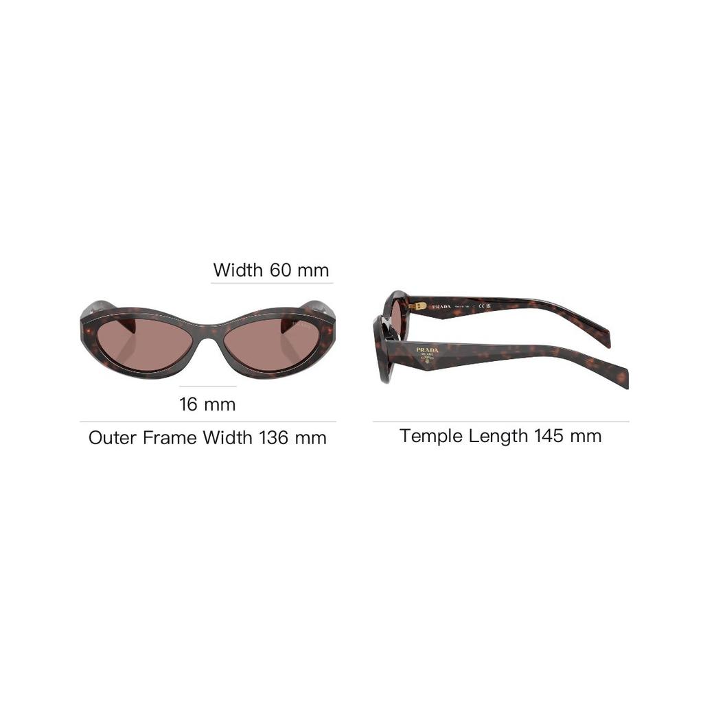 Prada Full Frame Design Acetate Oval Sunglasses Women sunglasses Tortoise PR-26ZS17N60B