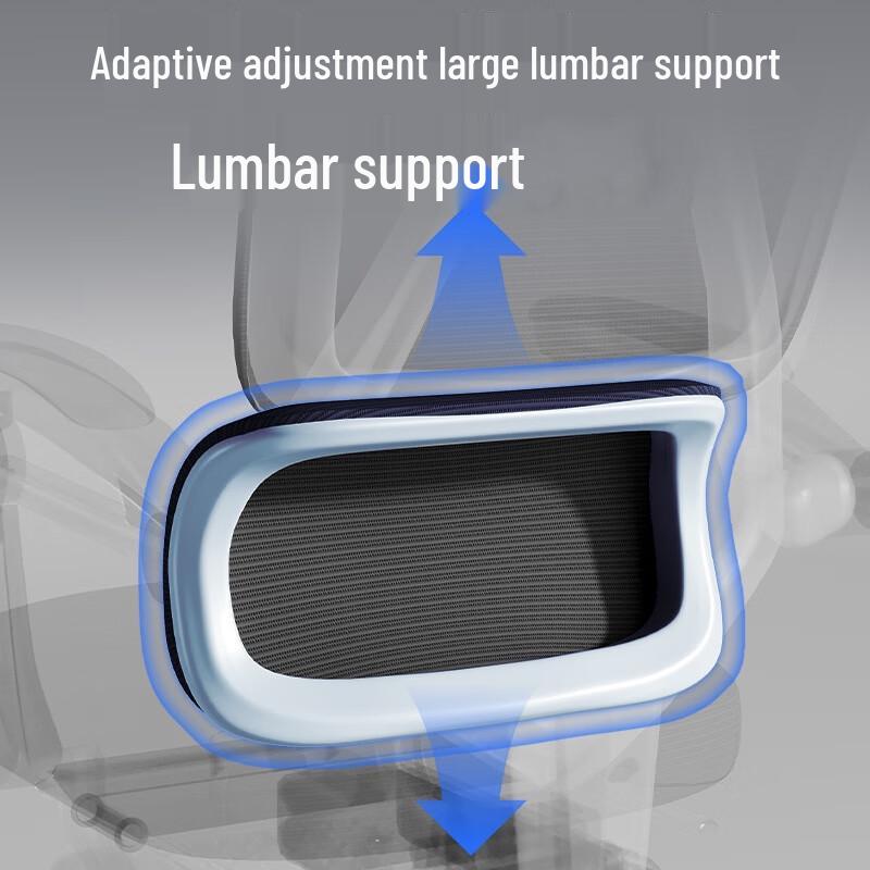 Shengbei Ergonomic Office Chair
