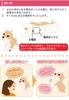 Comfortable Life: A Talkative Robot Animal (Fluffy Toy Poodle)