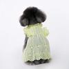 Huisdier Kant Fladderende Mouw Prinsessenjurk Teddy Poedel Kat Met Haaraccessoire