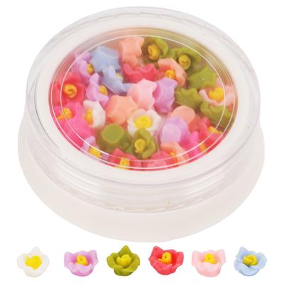 1 Scatola Fiori per Unghie Portatile Colorati 3D Tridimensionali Mini Fiori Decorazioni per Unghie Fai da Te