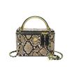 Personalized Small Bag 2025 New Fashion Niche Snake Pattern Handbag Women's Versatile Chain Messenger Box Bag Tide