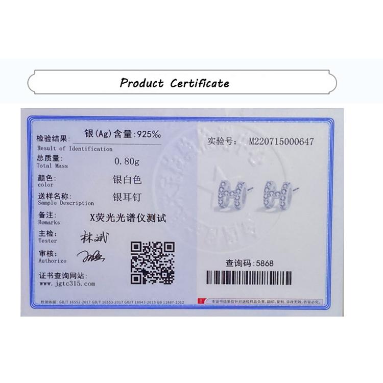 Klassisk bokstav H hel diamant ørepynt for kvinner uregelmessig sirkel geometrisk originale forlovelsesgavesmykker i sterling sølv