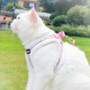 Pastel Pet Pet Check Fur Lining Harness Set, Pink