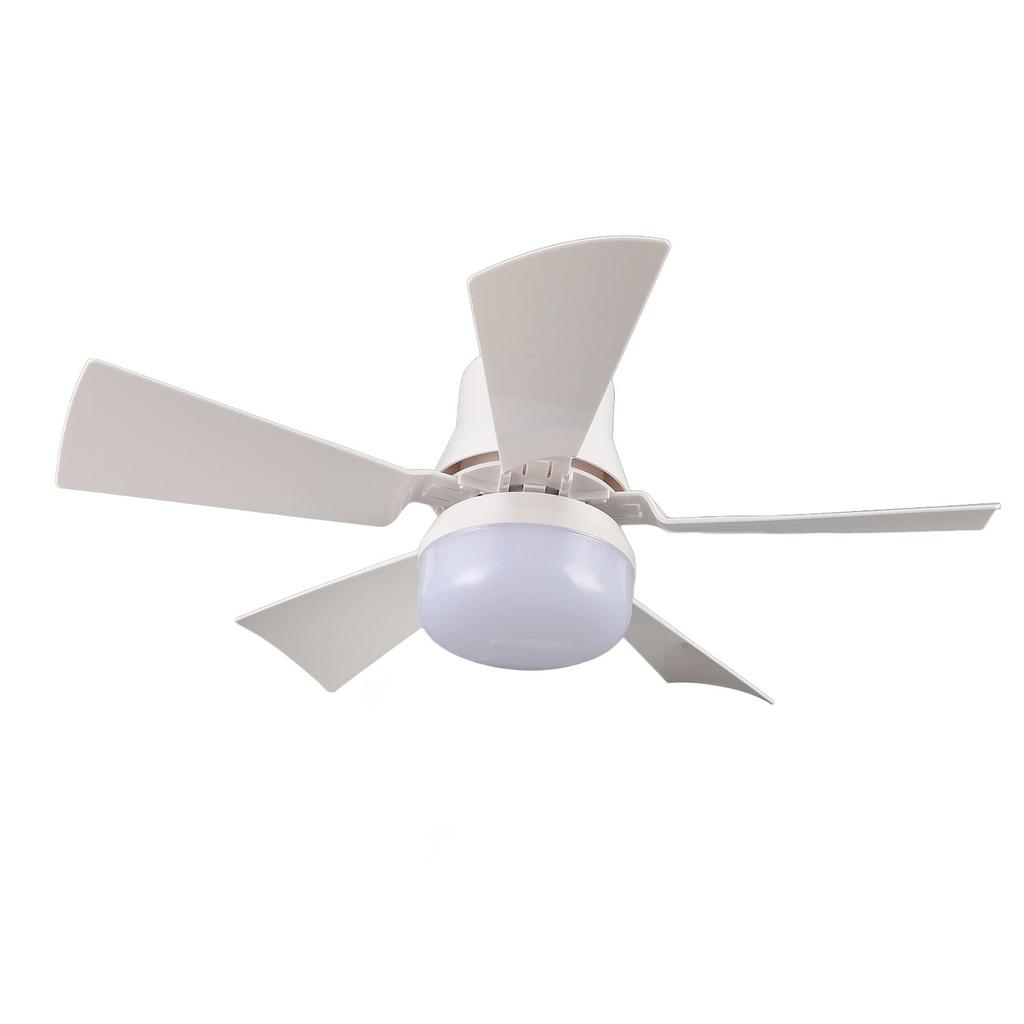 Ceiling Fan Light 3000K To 6500K   Brightness 3 Wind Speeds 3 Timers E26 Socket Light with Fan