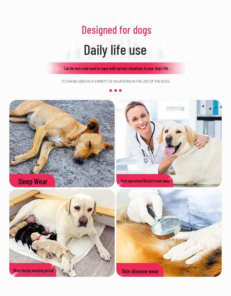 Breathable Summer Pet Sterilization Suit - High Elastic, No Restraint with Pad Space