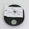 C-2025 Spider Fridge Magnets Home Spider Magnet Refrigerator Decoration - Spider Magnet Refrigerator Decoration Black