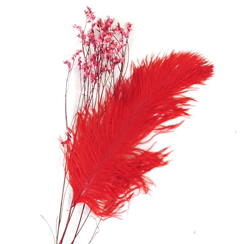 22-Color Ostrich Fur Big Feathers Wedding Background Wall Decorative Wall White Pink Feather Flower Arrangement 20-25Cm