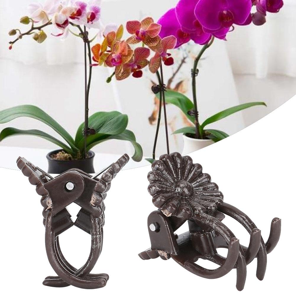 200Pcs Flower Shaped Plant Clip Orchid Stems Fixing Support Clips Garden Tool Accessories
