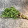 Real Touch Artificial Fern Plant Branches Handmade Fake Plants  Outdoor Garden Decor