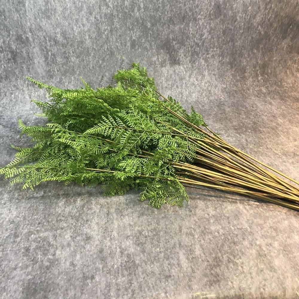 Real Touch Artificial Fern Plant Branches Handmade Fake Plants  Outdoor Garden Decor