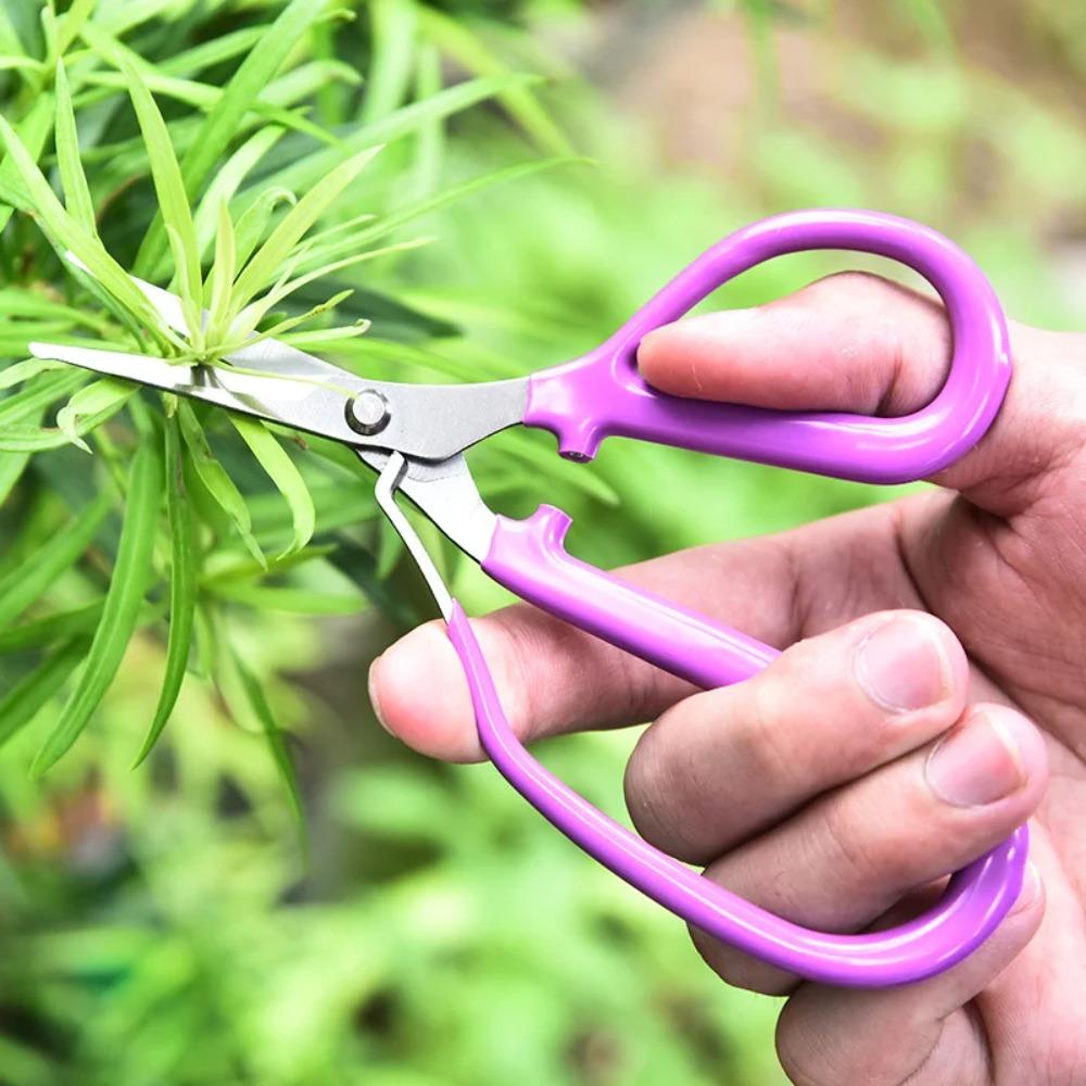Stainless Steel Pruning Shear Curved Blade Flowers Bonsai Plants Grape Sparse Scissor Household Garden Tools for Gardener