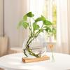 2pcs Plant Terrarium Vases Table Decor Office Desktop Vase Ornament Home Decor For Indoor Live Hydroponics Plants