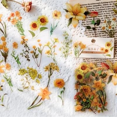Künstlerische schöne Natur, Pflanzen, Blumen, Gras, Serie, PET-Handbuchaufkleber, Retro-Scrapbook-Notizbuch, DIY-Dekoration für Mädchen