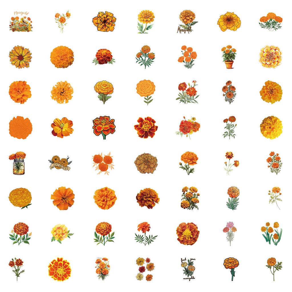 55 Marigold Marigold Graffiti Stickers Decorative Scooter Laptop DIY Stickers