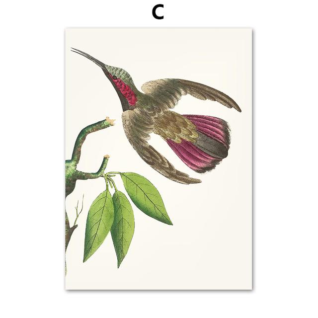Papagal Pasăre Artă de perete de epocă Pictură pe pânză colibri colorat Postere nordice și imprimeuri Poze de perete pentru decorarea camerei de zi, fără cadru