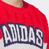 adidas Originals Unisex Crew Neck Long Sleeve Sweater Red/Multi JL8367