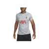 Nike Liverpool 2023 Pre-Match Geometric Pattern Crew Neck Short Sleeve Football Shirt Men Tops Gray DR4904-013