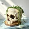 Desktop Plant Display Halloween Retro Skull Planter, Spooky Gothic Human Head Flower Pot, Indoor Potted Pot Skeleton Candy Bowl Decoration for