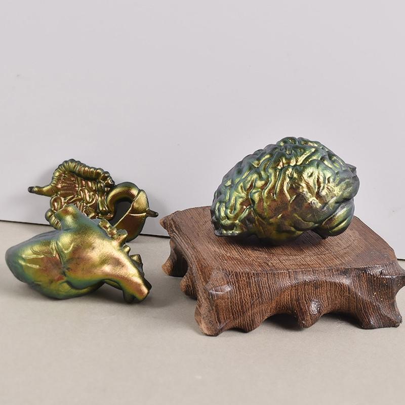 Human Organs Shape Silicone Molds Heart Brain Resin Epoxy Mold Cupcake