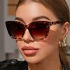 Briller og accessories – Solbriller