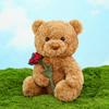 With Bear Teddy Scarf Cake Pajamas Rose Rabbit Plush Toy Kids Decoration Gift