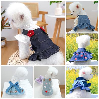 Roupa e sapatos – Vestidos para cães