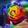 5D DIY Diamond Painting Rose Flower Diamond Embroidery Fresh Flowers Cross Stitch Full Round Drill Manual Home Decor Gift