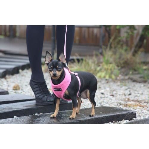 Harnais - Puppia - Rose - Taille L - 100% Polyester - Réglable et Confortable
