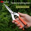 Sagawada 902 Pruning Shears: Ideal for Flowers, Grapes, Fruits, and Vegetables.