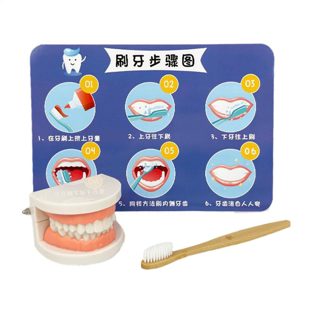 

Dentist Toys for Preschool Educational Children Role Play Toys Teeth Brushing Toys Cute Early Education Cartoon Tooth Brushin розовый