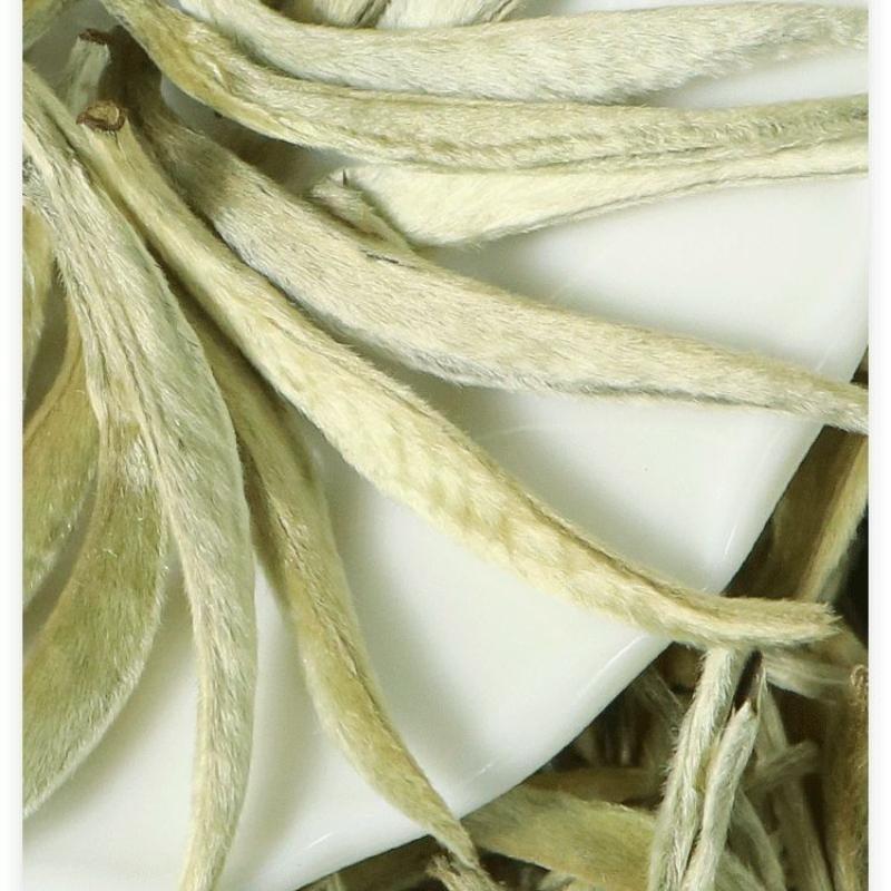White Hair Silver Needle Premium Tè bianco Moonlight Tè bianco Ancient Trees125g