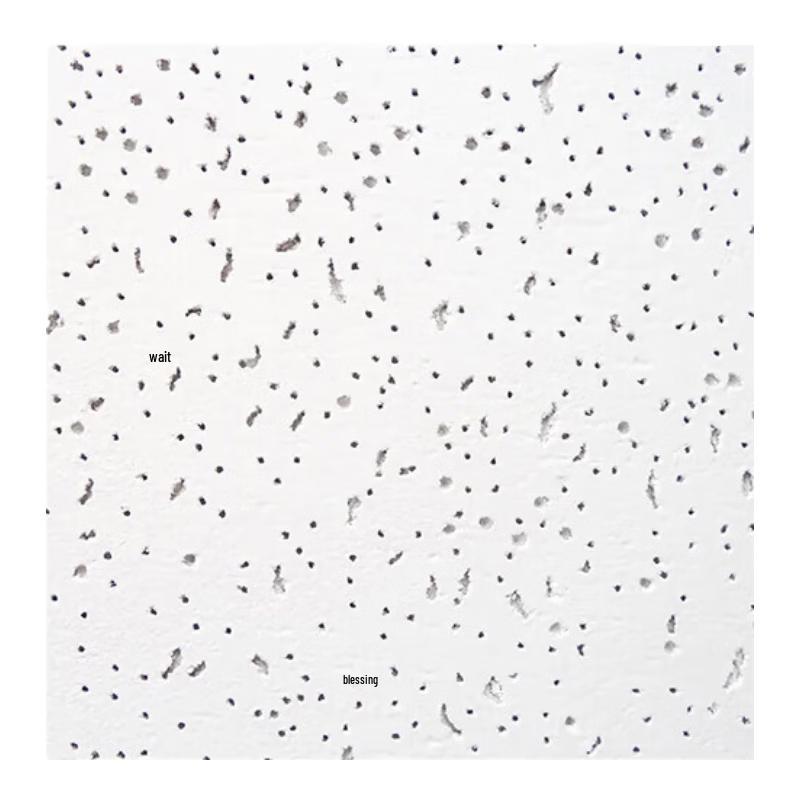 Deyu Gongpin Starry Sky Acoustic Mineral Fiber Ceiling Tiles 603x603x14mm