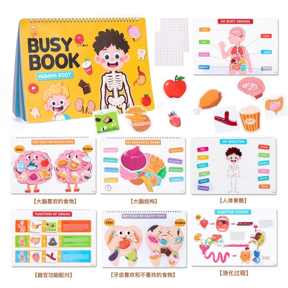 Interactive Learning Body Structure Busy Book Tear Pull Early Education Adhesive Book Enlightenment Book Preschool Learning